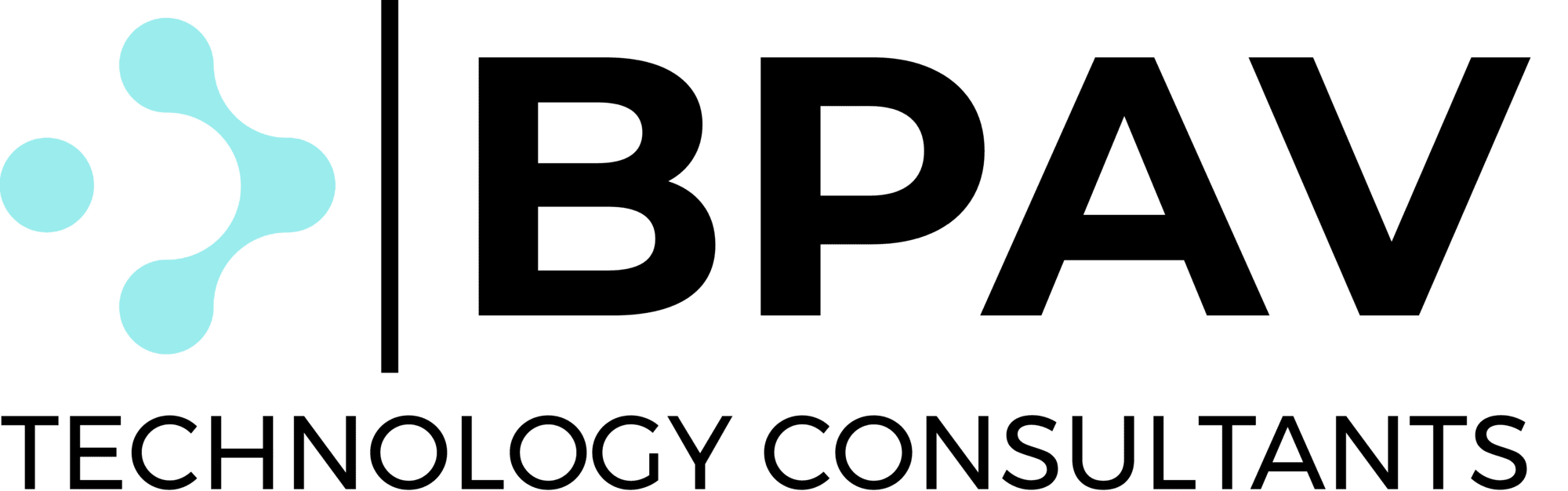 BPAV Technology Group Ltd